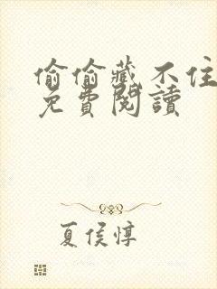 偷偷藏不住小说免费阅读