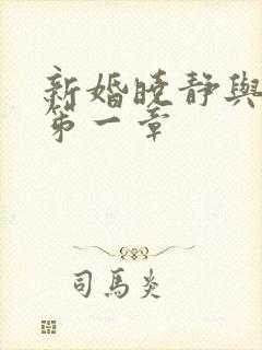 新婚晓静与翁公笫一章