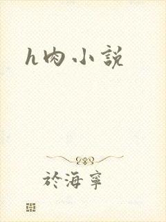 h肉小说