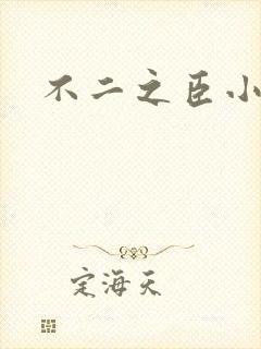 不二之臣小说