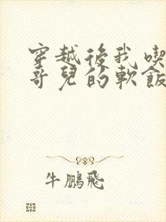 穿越后我吃到了哥儿的软饭炉山灰