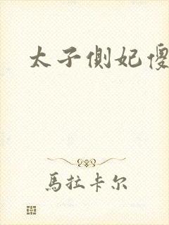 太子侧妃傻乎乎