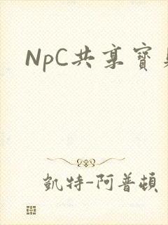 NpC共享宝贝