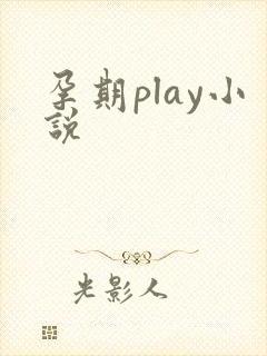 孕期play小说