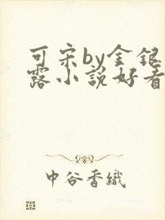 可宋by金银花露小说好看吗
