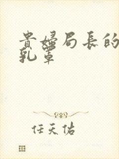 贵妇局长的蕾丝乳罩