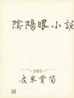 阴阳眼小说