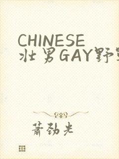 CHINESE壮男GAY野战强迫TUBE