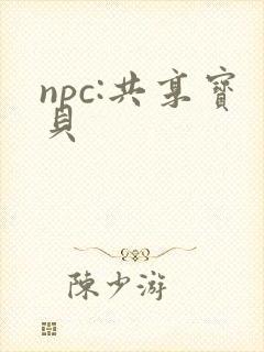 npc:共享宝贝