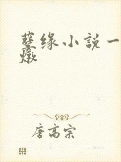 孽缘小说一家乱炖