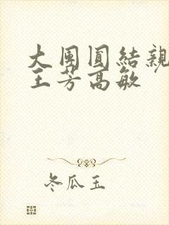 大团圆结亲情会王芳高敏