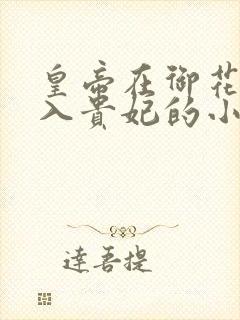 皇帝在御花园进入贵妃的小说