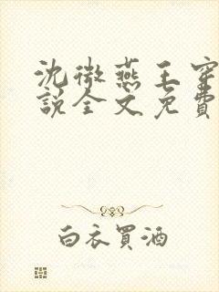 沈微燕王穿越小说全文免费阅读