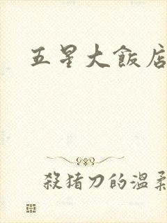 五星大饭店小说