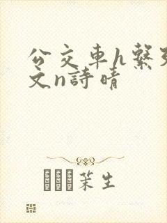 公交车h系列辣文n诗晴