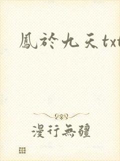 凤于九天txt