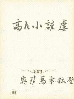 高h小说虐