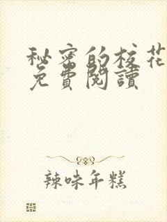 秘密的校花小说免费阅读