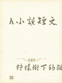h小说短文