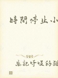时间停止小说