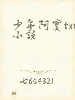 少年阿宾txt小说