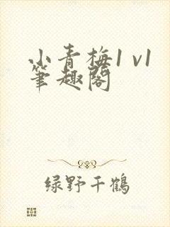 小青梅1 v1笔趣阁