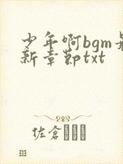 少年啊bgm最新章节txt