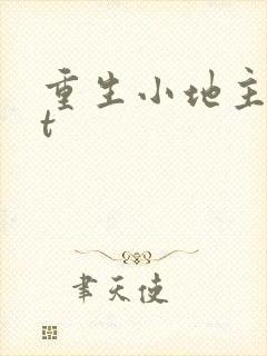 重生小地主txt