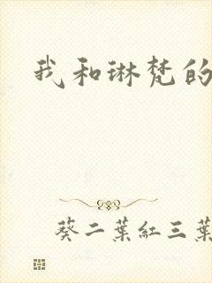 我和琳梵的故事