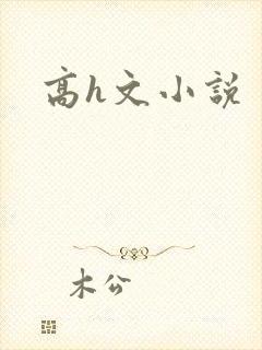 高h文小说