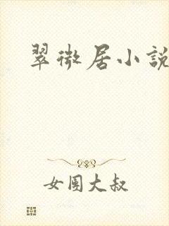 翠微居小说