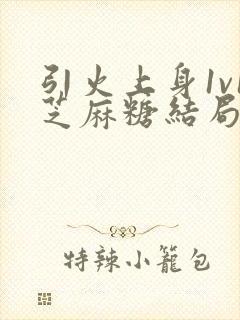 引火上身1v1芝麻糖结局