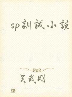 sp训诫小说