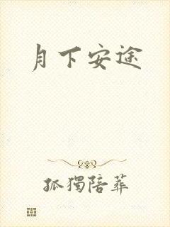 月下安途