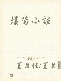 爆菊小说