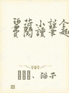 碧荷小说全文免费阅读笔趣阁