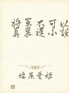 将军不可以魏云真慕迟小说笔趣阁