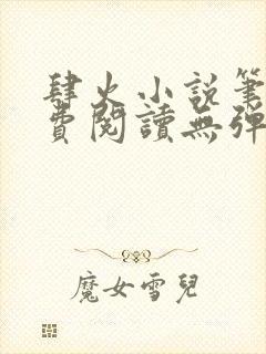 肆火小说笔趣免费阅读无弹窗