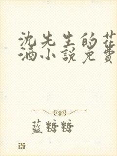 沈先生的花式调酒小说免费阅读