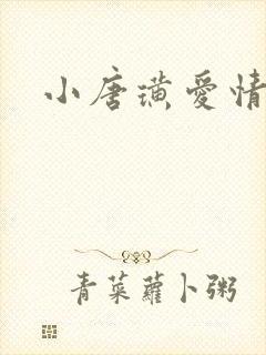 小唐璜爱情历史