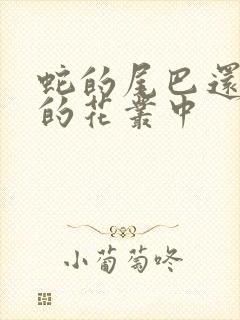 蛇的尾巴还在我的花丛中