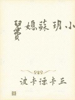 儿媳苏玥小说免费