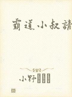 霸道小叔请轻撩