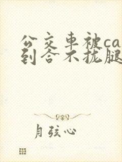 公交车被cao到合不拢腿视频