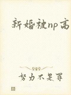新婚被np高h