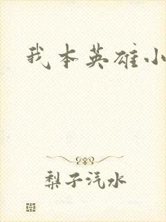 我本英雄小说