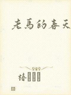 老马的春天敏静