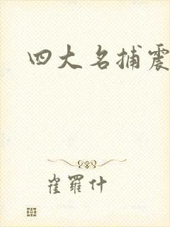 四大名捕震关东