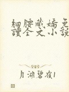 细腰藏娇免费阅读全文小说苏珞浅