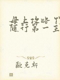 母上攻略 竹影随行第一主板